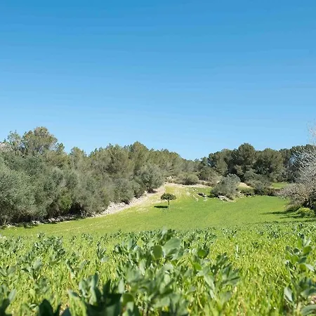 Villa Perola - Adults Only Llucmajor (Mallorca)